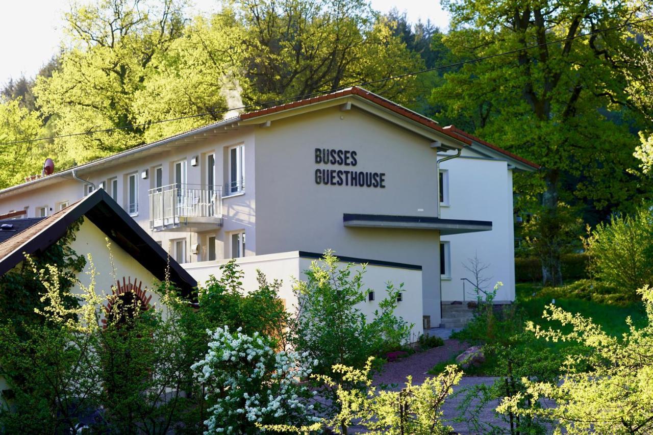 Busses Guesthouse Freiburg im Breisgau Exterior foto